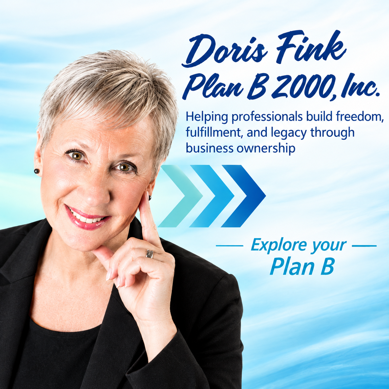 Doris Fink, Plan B 2000, Inc.